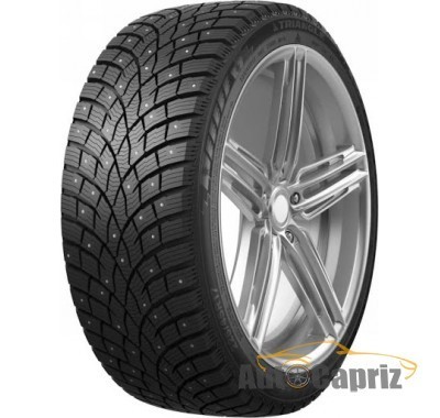 Шины Triangle IcelynX TI501 205/65 R15 99T XL (под шип)